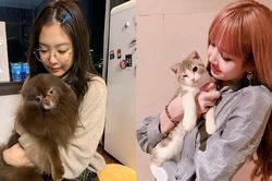 Điểm danh dàn thú cưng của Blackpink: Từ chó, mèo cho đến... cá vàng