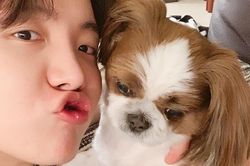 J-Hope BTS khăng khăng về tình cảm của thú cưng khiến ARMY cười nghiêng ngả