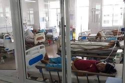 Công bố nguyên nhân khiến hàng trăm người ngộ độc thực phẩm