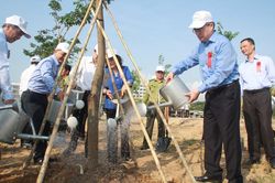 TPHCM phát động Tết trồng cây, đặt mục tiêu trồng 1 triệu cây xanh trong năm 2020