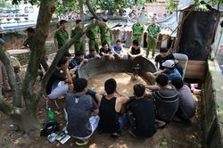 Liên tục bắt các đối tượng đá gà ăn tiền tại Bắc Ninh, Bắc Giang