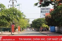 Nhiều tuyến đường ở TP Hà Tĩnh sẽ có thêm cây xanh