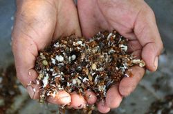 Những đặc sản muối chấm ngon 'rụng rời' tại Việt Nam, đốn tim biết bao tín đồ ẩm thực