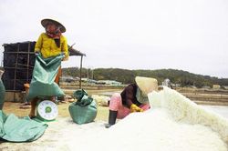 Không thể 'xóa sổ' muối Sa Huỳnh