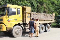 Tạm giữ 9 xe tải chở gấp đôi tải trọng cho phép, lái xe dùng ma túy