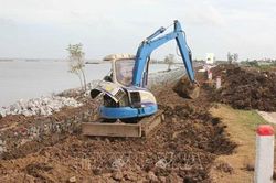 Khẩn trương khắc phục, phòng ngừa tình trạng sụt lún đất tại Cà Mau