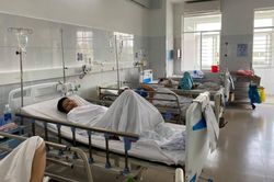 Vụ ngộ độc khiến 230 người nhập viện tại Đà Nẵng: Thực phẩm chứa 3 loại vi sinh vật vượt ngưỡng