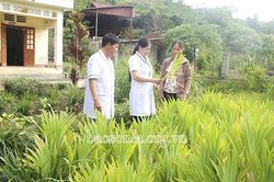 Công tác bảo vệ, chăm sóc sức khỏe nhân dân ở Tân Lang