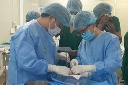 Ghép gan xuyên đêm tại TP.HCM từ mầm sống của người chết não ở Hà Nội