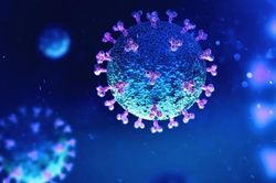 Phát hiện mới. Tế bào miễn dịch ở người khỏe mạnh có khả năng tìm diệt virus SARS-CoV-2