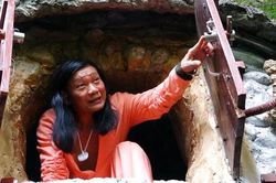 Họa sĩ dựng nhà trên cây sanh