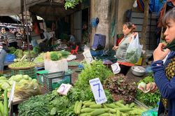 Đi chợ đầu mối, cầm 10.000 đồng đủ rau xanh ăn cả ngày cho gia đình