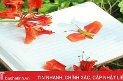 Tuổi học trò xao xuyến mùa phượng đỏ
