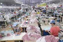 Hiệp định EVFTA: Hoàn thiện các bước cuối cùng để đi vào thực thi