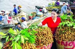 EVFTA Biến lợi thế thành thực tế?