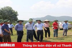 Hiệp hội Doanh nghiệp nông nghiệp an toàn và hữu cơ tỉnh Thanh Hóa tìm hiểu cơ hội đầu tư tại huyện Như Thanh