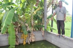 Công trình nước sạch tiền tỷ bị bỏ hoang