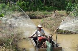 Vĩnh Long: 'Đỏ mắt' trước thiệt hại khốc liệt của xâm ngập mặn