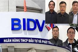 Truy tố 12 bị can trong đại án Trần Bắc Hà