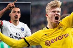 Những lý do để tin Haaland không thể trở thành 'Ibrahimovic mới'