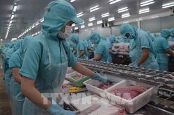Bên lề Quốc hội: EVFTA sẽ là cú hích rất lớn cho xuất khẩu của Việt Nam