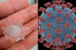 Mưa đá có hình virus corona ở Mexico