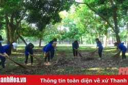 Đẩy mạnh xã hội hóa góp phần thực hiện có hiệu quả công tác bảo vệ môi trường