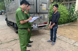 Trộm ô tô tải, lái xe gây tai nạn rồi bỏ trốn