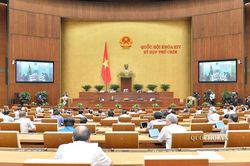 Vì sao không nên đưa hộ kinh doanh vào dự thảo Luật doanh nghiệp sửa đổi?