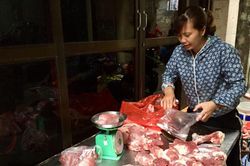 Sững sờ trước giá lợn hơi chạm đỉnh 100.000 đồng/kg