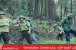Mở rộng đường băng cản lửa từ 10m lên 20m để... bảo vệ rừng