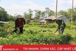 Ông bí thư chi bộ ở miền núi Hà Tĩnh 20 năm 'vác tù và hàng tổng'