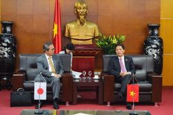 Gỡ khó để trái vải thiều thuận đường sang Nhật Bản