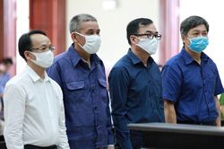 Tòa bác tất cả kháng cáo trong vụ giao đất vàng cho Vũ 'Nhôm'
