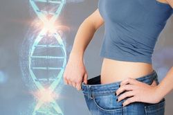 Xác định được gen liên quan đến vóc dáng gầy hay béo