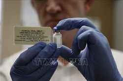 Đại học Oxford mở rộng diện thử nghiệm vaccine phòng COVID-19