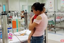 Hà Nội: Phát hiện 137 người mắc sốt xuất huyết