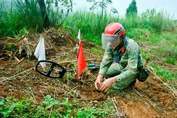 Nơi sự sống hồi sinh...