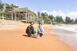 Giữ gìn, bảo vệ hệ đa dạng sinh học ở vùng biển đảo Cồn Cỏ
