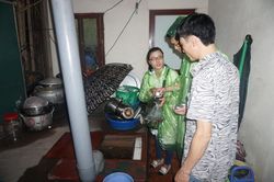 Dịch sốt xuất huyết bùng phát, Hà Nội ghi nhận 137 ca