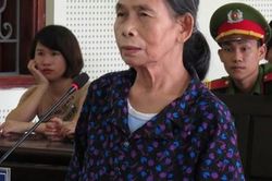 Tuyên án cụ bà nhẫn tâm đẩy cháu nội xuống đập nước vì giận con trai