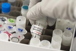 Khó có vaccine phòng Covid-19 vào năm 2020