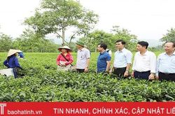 Xã nông thôn mới kiểu mẫu của Hà Tĩnh phải xứng đáng để địa phương khác đến học tập