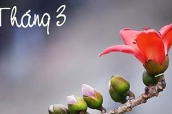 Đoản khúc tháng ba