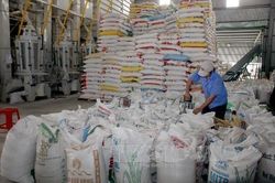 Bộ Công Thương lưu ý quy định của Indonesia về xuất nhập khẩu than đá, dầu cọ thô và gạo
