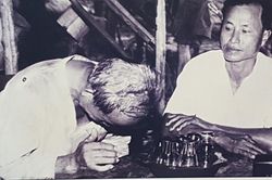 Hung thần thuở ấy tuổi đà chín tư