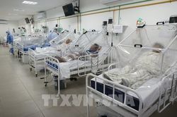 Dịch COVID-19: Brazil đóng cửa biên giới thêm 30 ngày