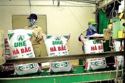 Hàng loạt sai phạm có dấu hiệu hình sự tại công ty phân đạm Hà Bắc, gây lỗ 2.900 tỷ đồng