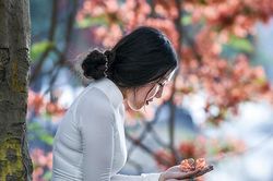 Thơ: Cánh phượng đầu tiên - mùa hạ cuối cùng