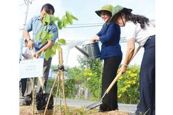 Phát động trồng cây và xây dựng tuyến đường xanh - sạch - đẹp